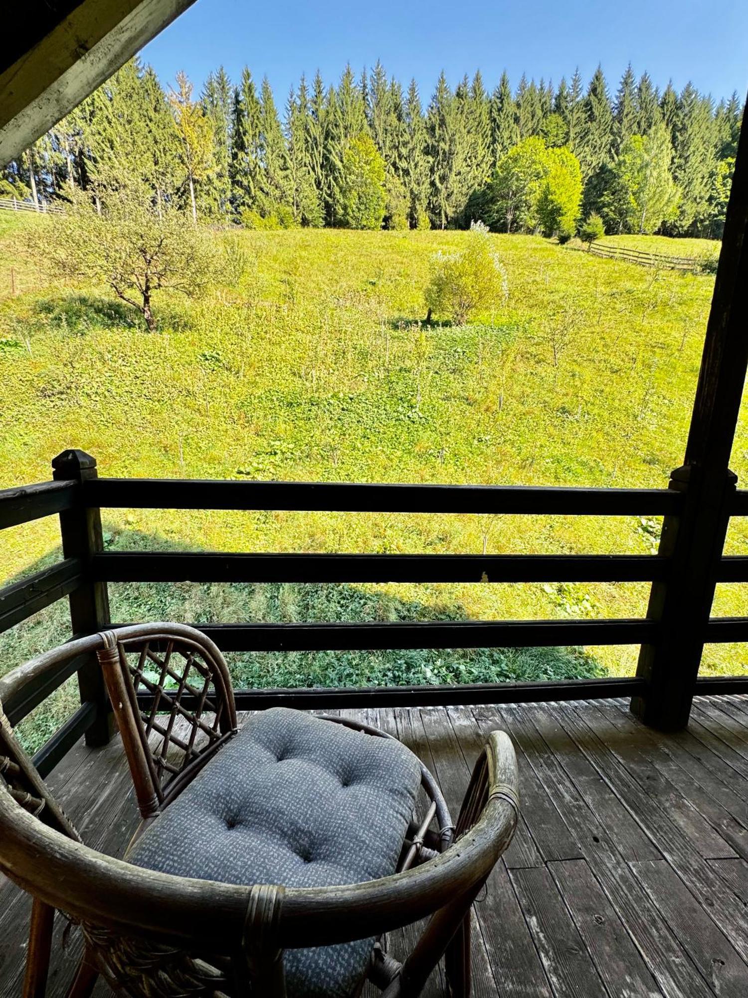 Craiasa 2 Hotel Моечу де Жос Екстериор снимка